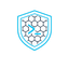 Logo sec-npm